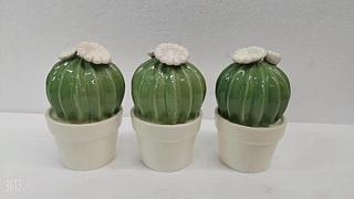 OBJETO DE ORNAMENTACAO DE CERAMICA - CACTOS