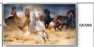 QUADRO TELA 100X150 CM