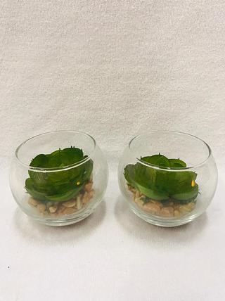 ORNAMENTACAO DE VIDRO - SUCULENTA