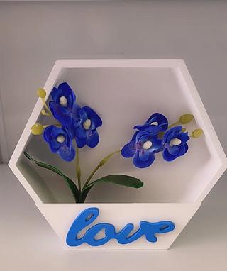 NICHO DECORATIVO DE MADEIIRA HEXAGONO