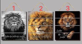 KIT DE QUADRO COM CORDA LEAO 38 X 29 CM